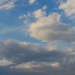 1000046163