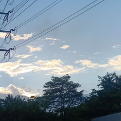1000046924