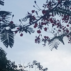 1000046170