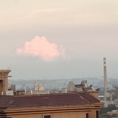 1000046931