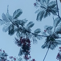 1000046744