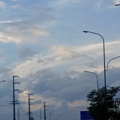 1000046161