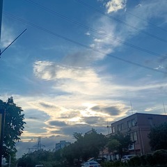 1000046156