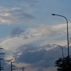 1000046162