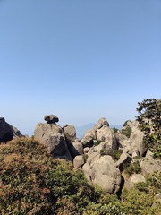 1000087121