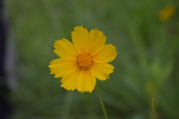 1000011452