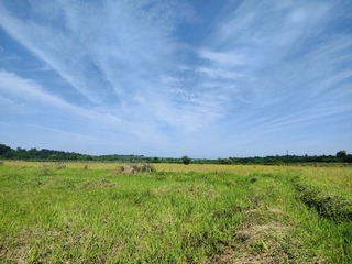 1000076556