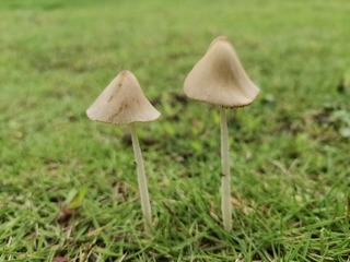 1210427