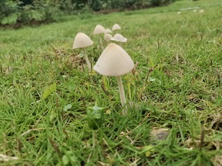 1210430