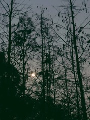 1202245