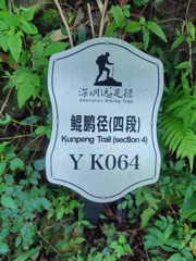 1000003547
