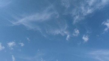 1000016663