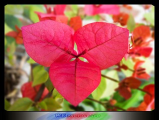 DSCN0277.jpg