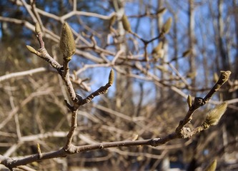 DSCN0477_1.jpg