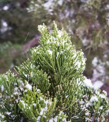 DSCN0639_1.jpg