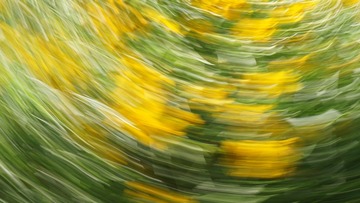 1000017660