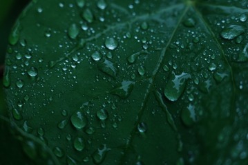 1000042591
