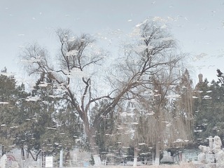 185386