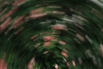 1000087158
