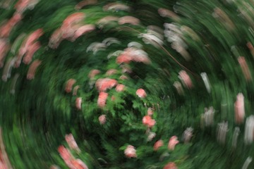 1000087159