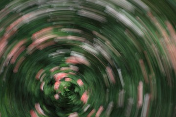 1000087162