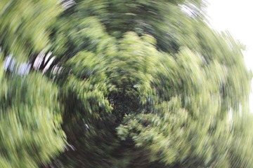 1000087100