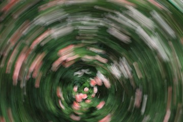 1000087161