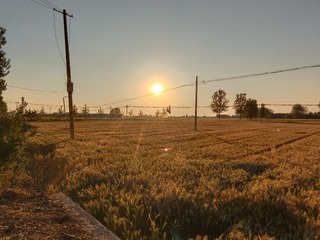 1000012824