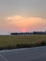 1000016753