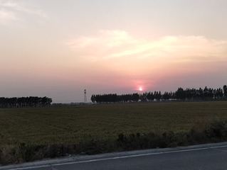 1000016752