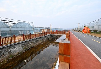 47352