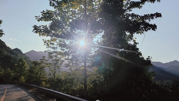 621261