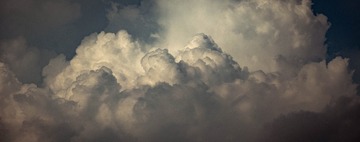 DSC_3537