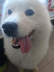 1000027282