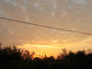 1000021374