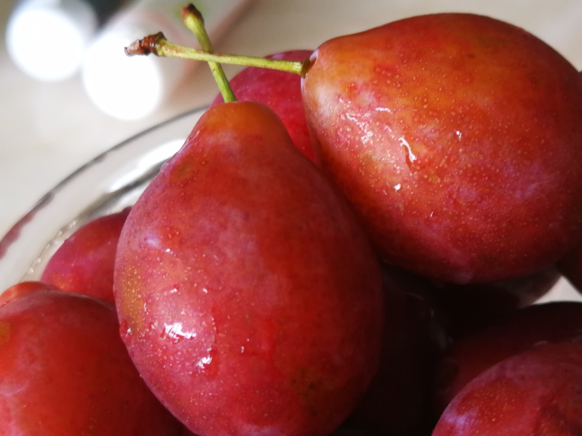 逆光之下,红西梅