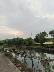 1000010774