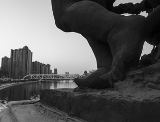 R0011040.jpg