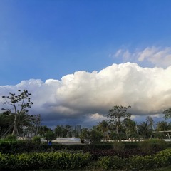 60764