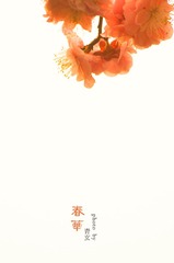 春华水印2.jpg