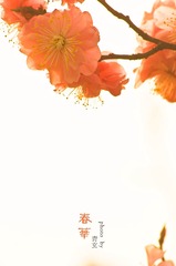 春华水印4.jpg