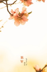 春华水印5.jpg