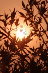 春华水印7.jpg
