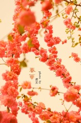 春华水印k.jpg