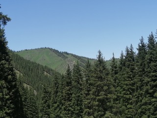 19991