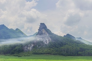 81326