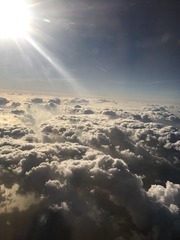602