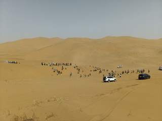 1000003431