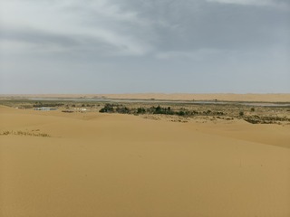1000003452
