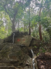 1000038317